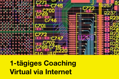 1-tägiges Coaching Virtual via Internet